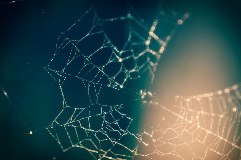 network
